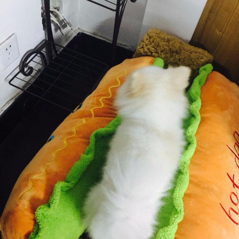 Cama para Pets - Cachorro Quente - Hot Dog